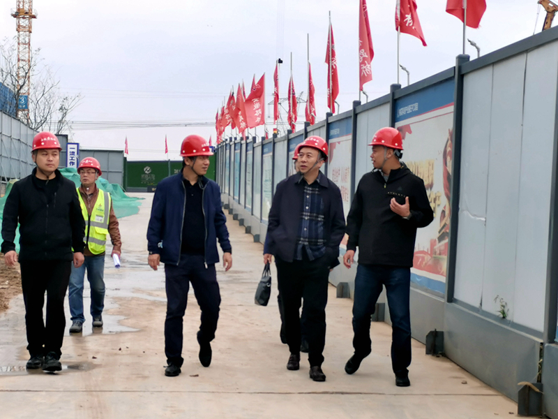 建工控股党委委员、纪委书记、监察专员王汪苗到桃花科创产业园项目调研督导工作3